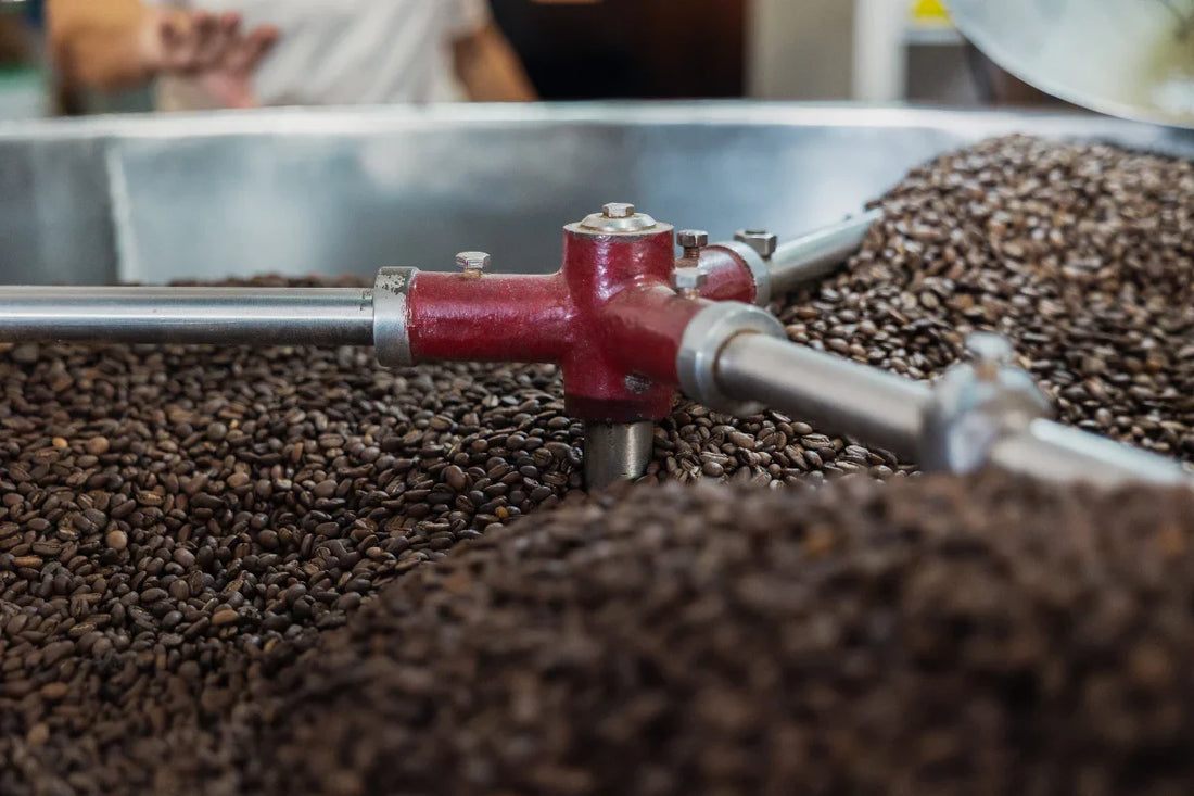 Cómo Elegir un Café Ideal Según Tus Gustos: Guía Completa