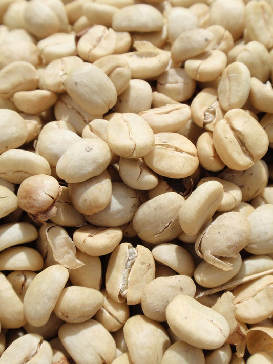 Cafetal en Guatemala