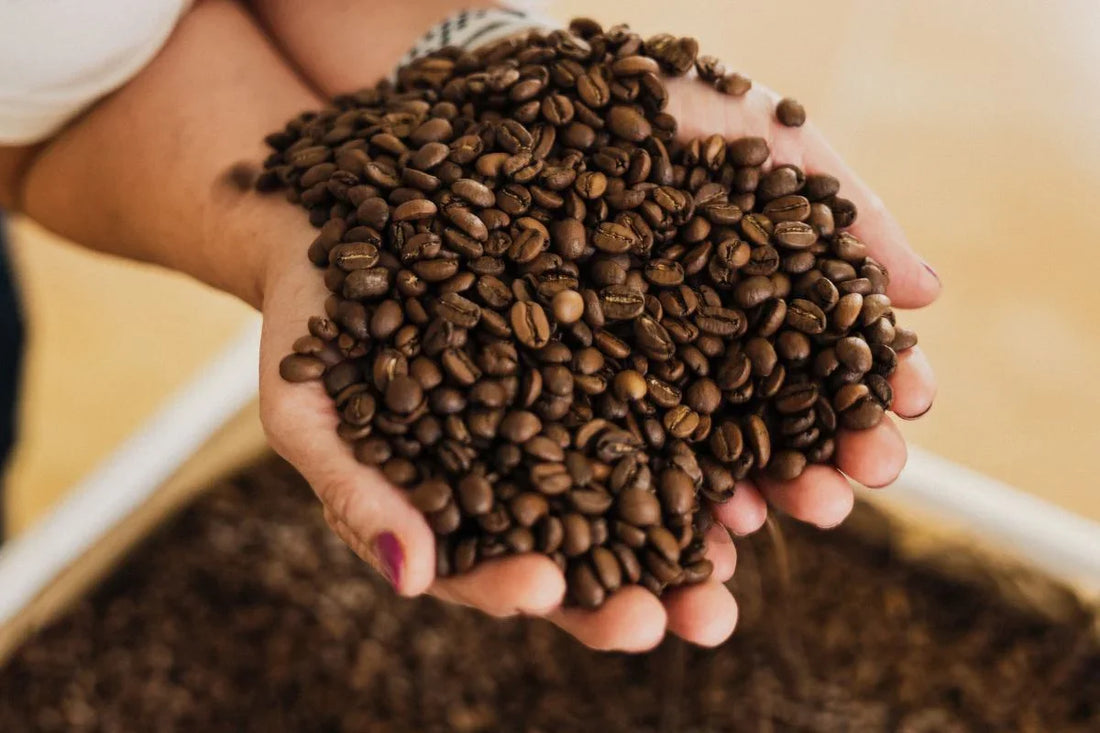 ¿Es Mejor el Café Soluble o el Café en Grano?