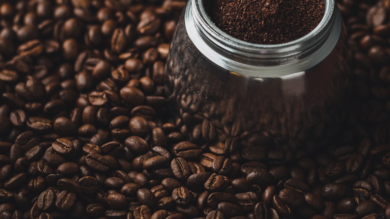 Plantación de café en Brasil