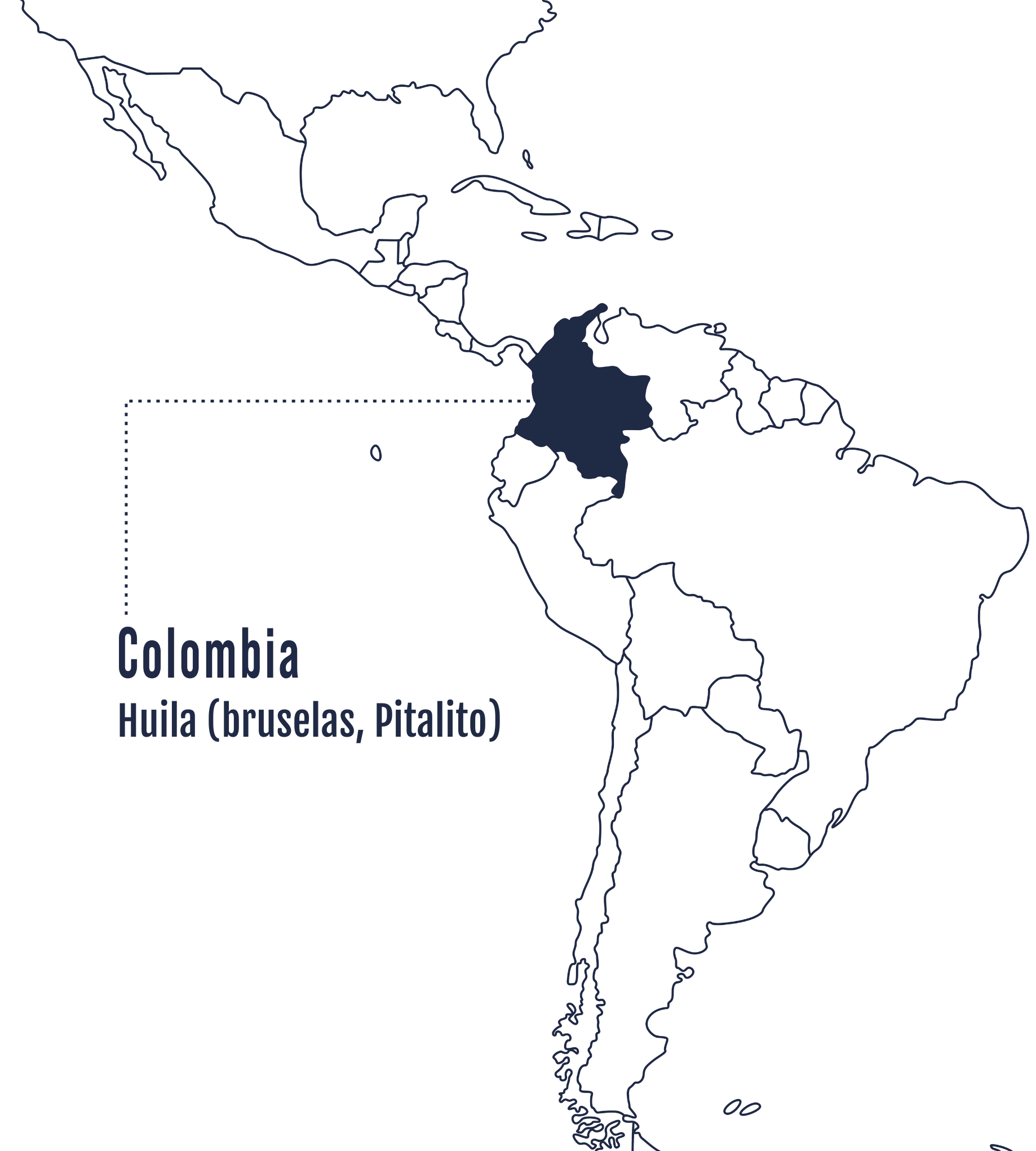 En el mapa se muestra en azul la región de Huila, específicamente Pitalito y Palestina, en Colombia, reconocida por producir cafés complejos con perfiles vibrantes y gran calidad.