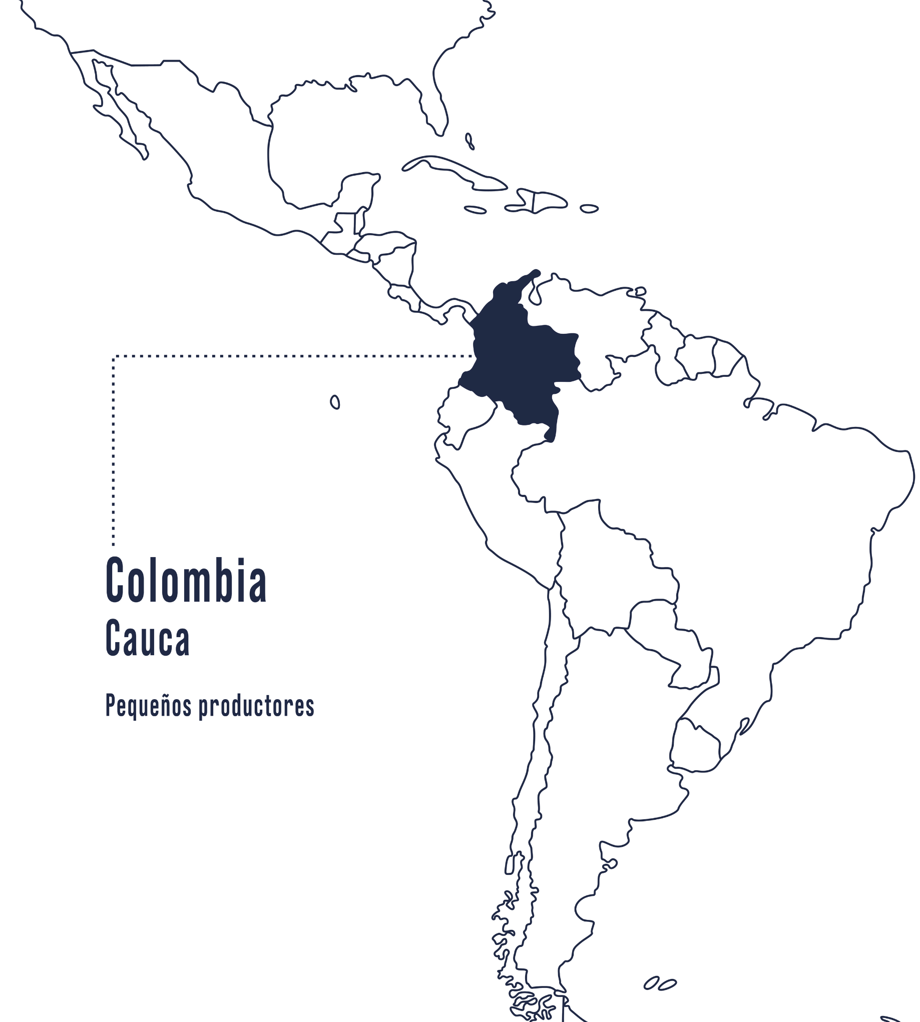 La región de Cauca en Colombia aparece marcada en azul en el mapa, famosa por cafés con acidez brillante y cuerpo medio.