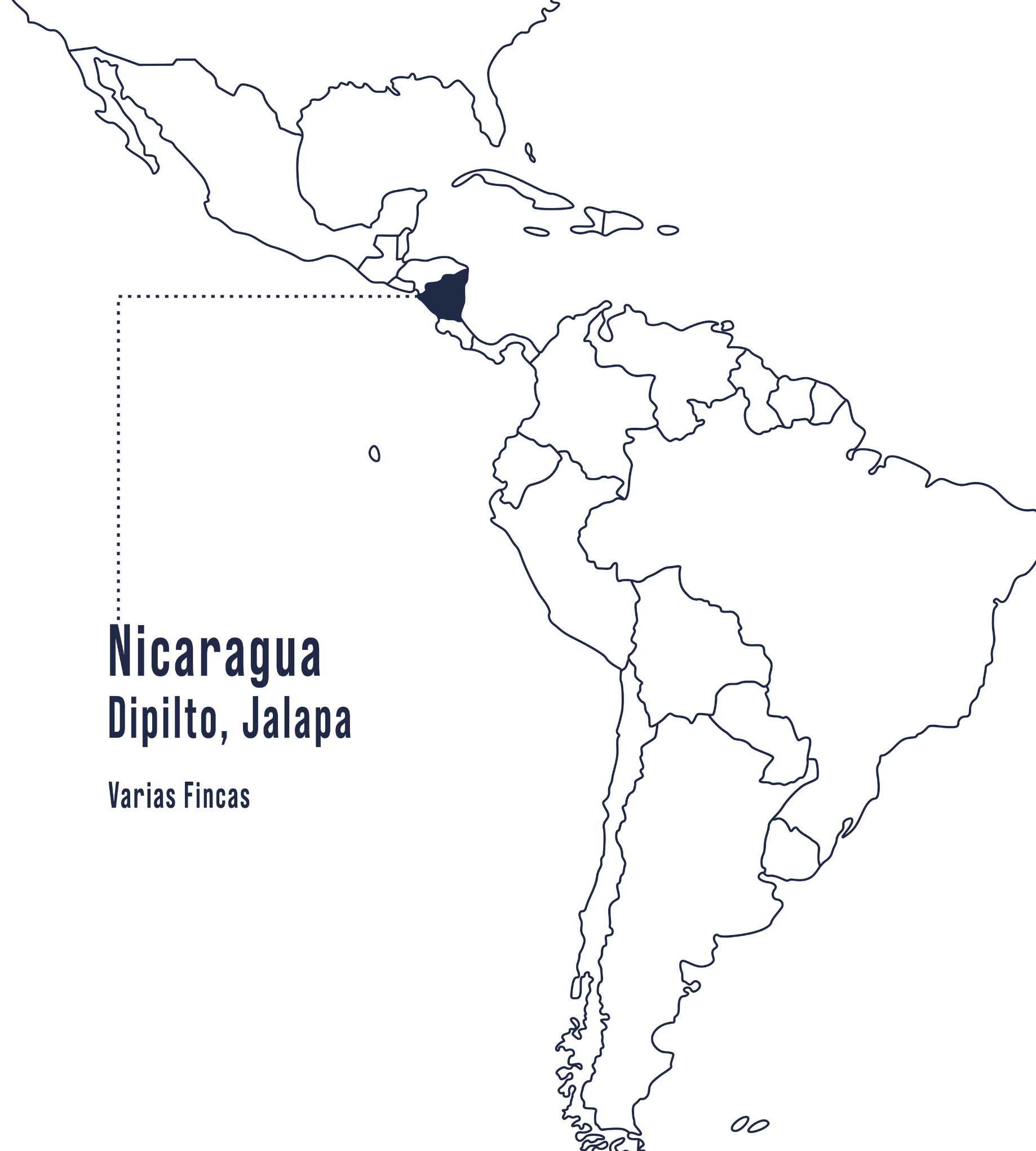 En el mapa se muestra la región de Dipilto y Jalapa en Nicaragua, marcada en azul, una zona montañosa reconocida por sus cafés complejos y elegantes.