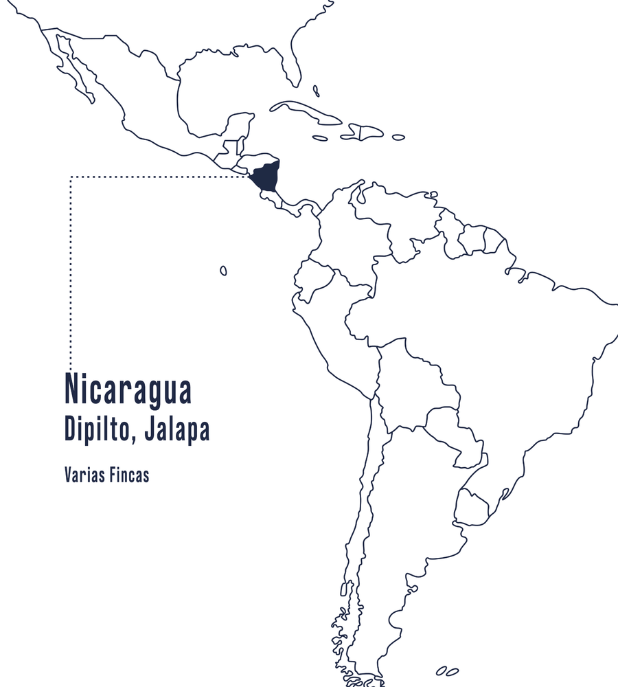 Mapa: on es cultiva el Nicaragua Java