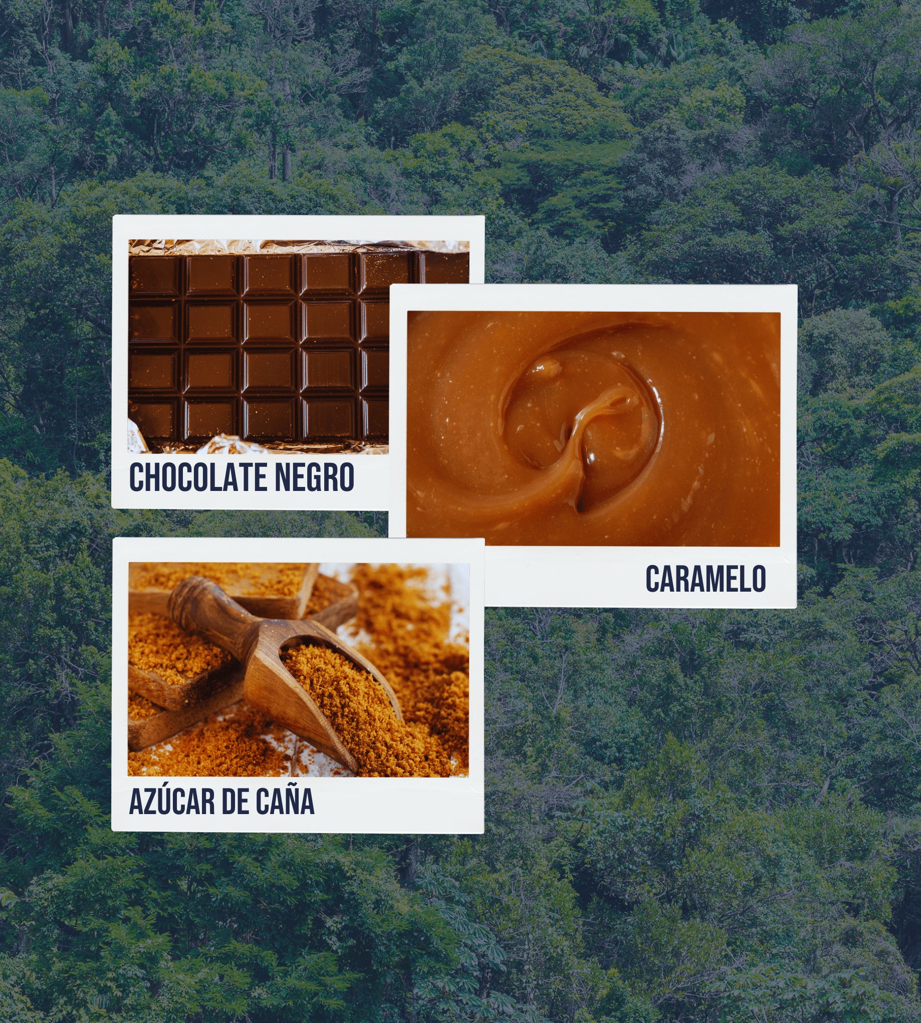 Imagen de estilo polaroid con fotos que representan notas de cata de café: chocolate negro, caramelo y azúcar de caña.