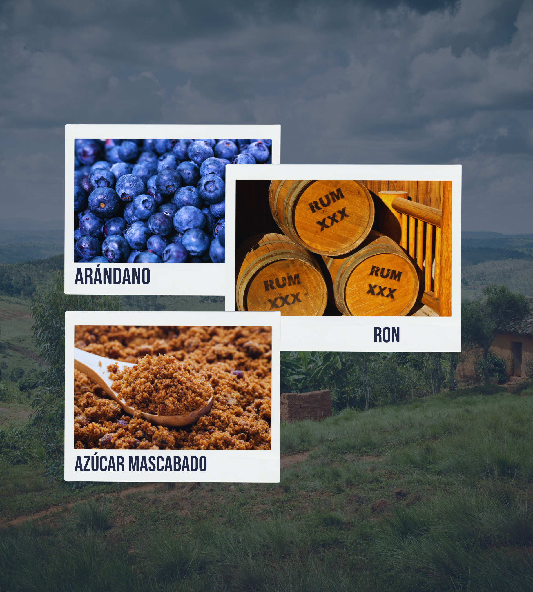 Imagen de estilo polaroid con fotos de notas de cata frutales y dulces: arándano, ron y azúcar mascabado.