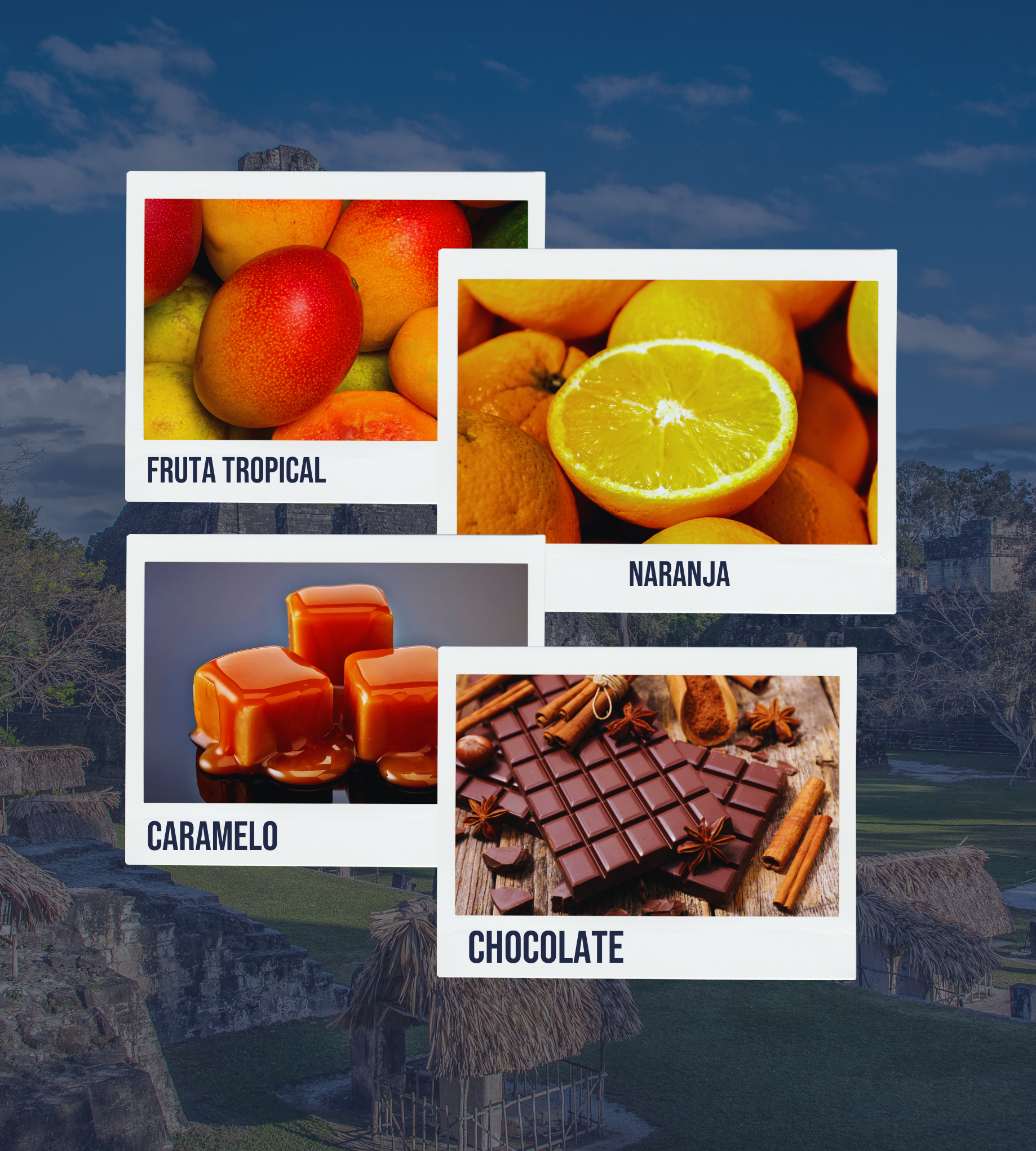 Imagen estilo polaroid con sensaciones tropicales intensas: notas de caramelo dorado, chocolate seductor, frutas de hueso maduras y naranja fresca.