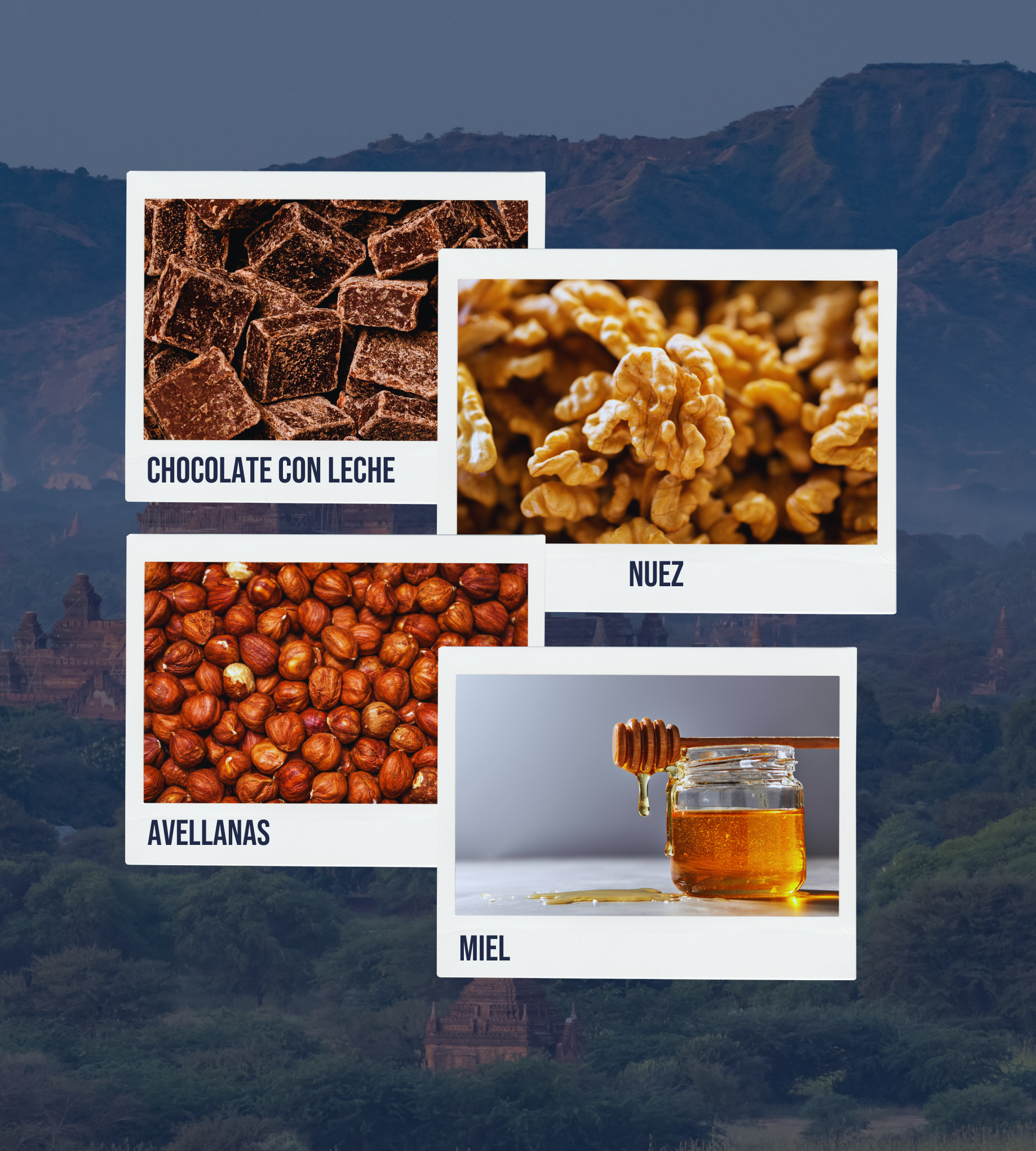 Imagen estilo polaroid con notas golosas y acogedoras: chocolate con leche, nuez, avellanas tostadas y un fondo suave de miel doradas
