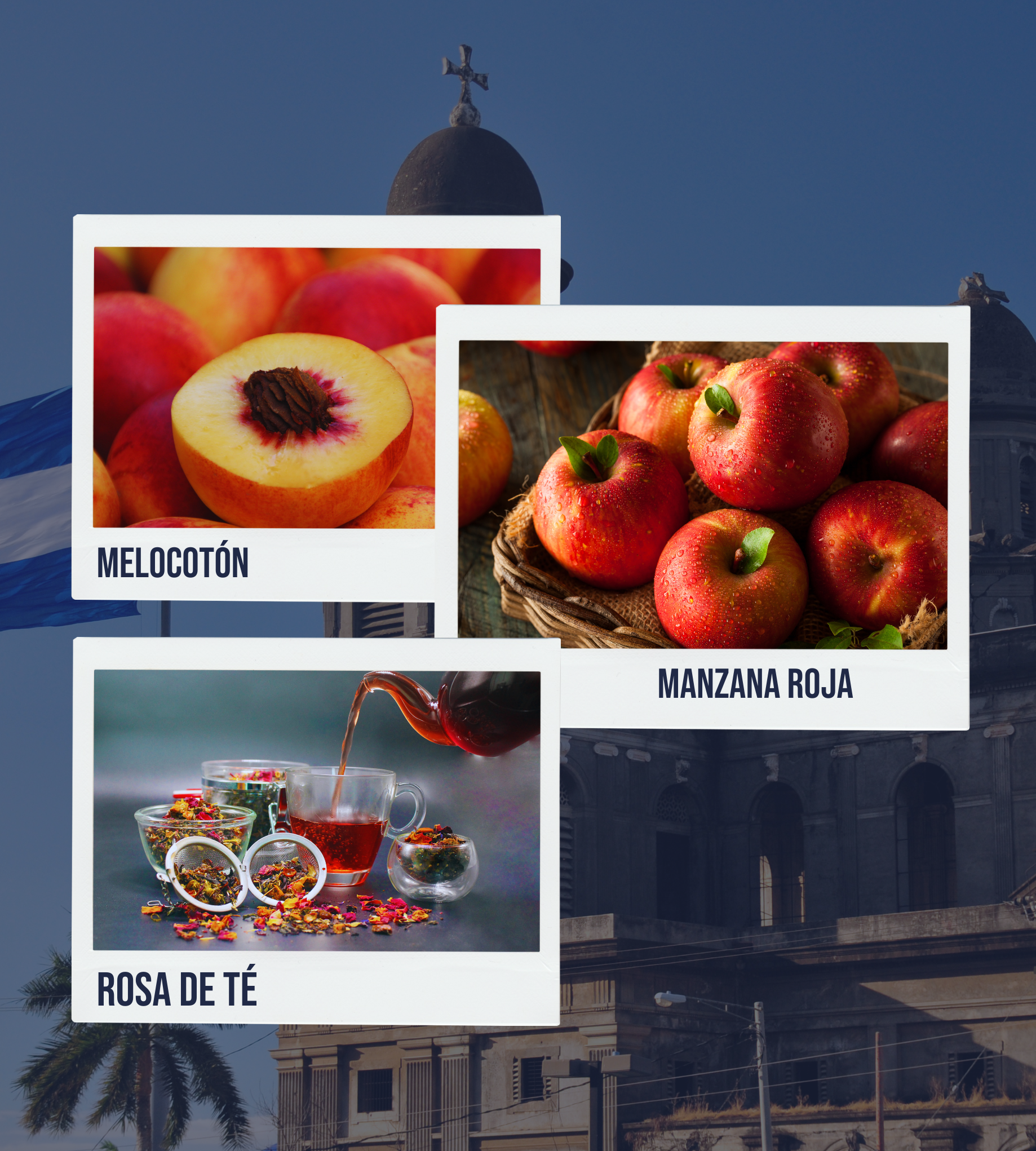 Composición de polaroids con matices delicados: melocotón maduro, manzana roja crujiente y un suave perfume de rosa de té.