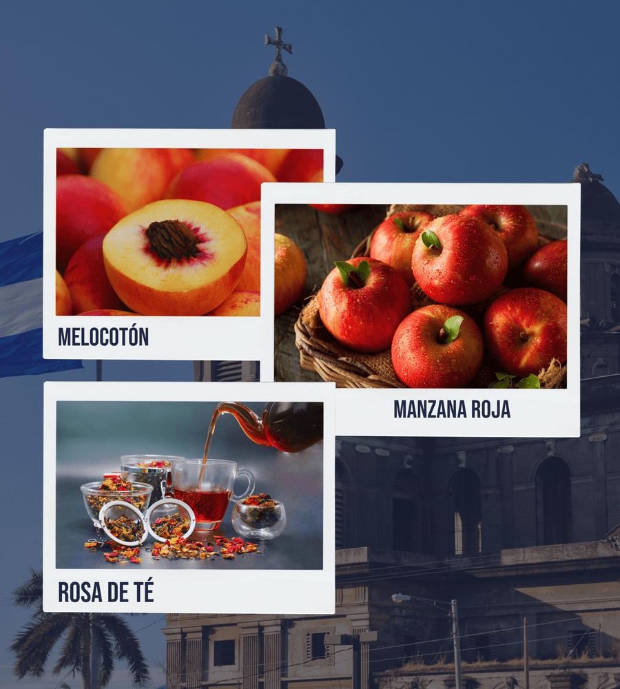 Notes de tast: Préssec · Poma vermella · Rosa de te