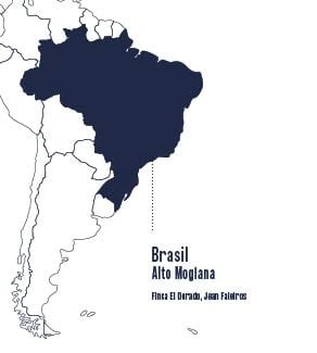 Ciano Coffee Suscripción Suscripción Café Espresso