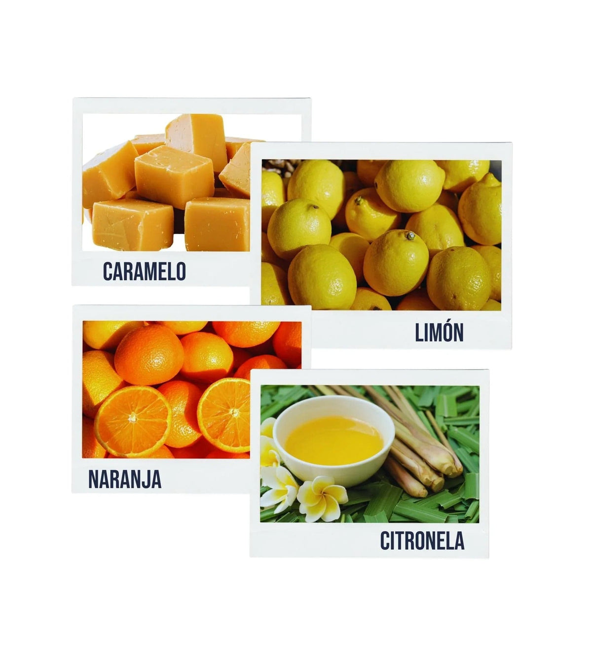 Ciano Coffee Suscripción Suscripción Café Filtro