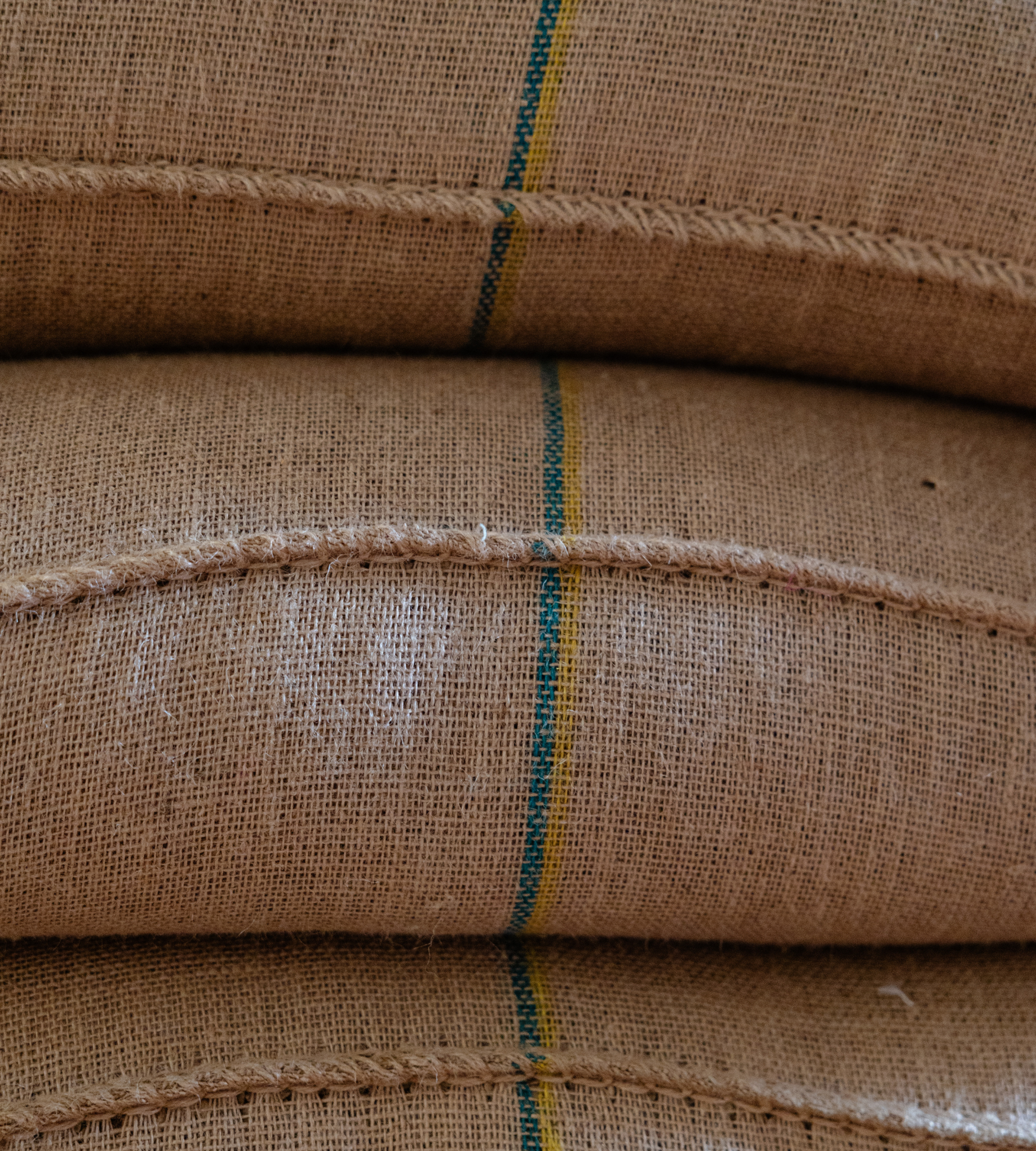 Sacos de café de especialidad durante el proceso de selección, listos para ser tostados y envasados