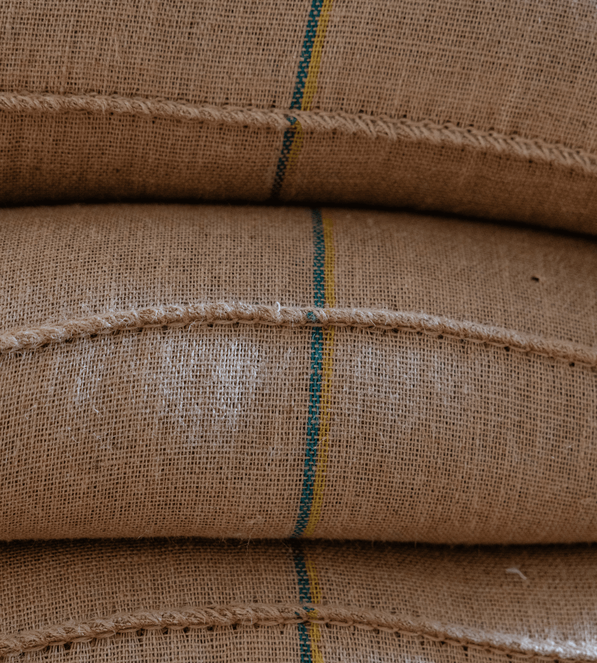 Sacos de café de especialidad durante el proceso de selección, listos para ser tostados y envasados