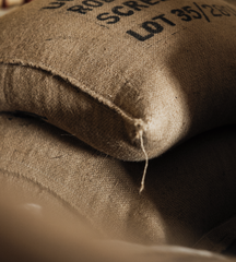 Burundi Mutambu Hills