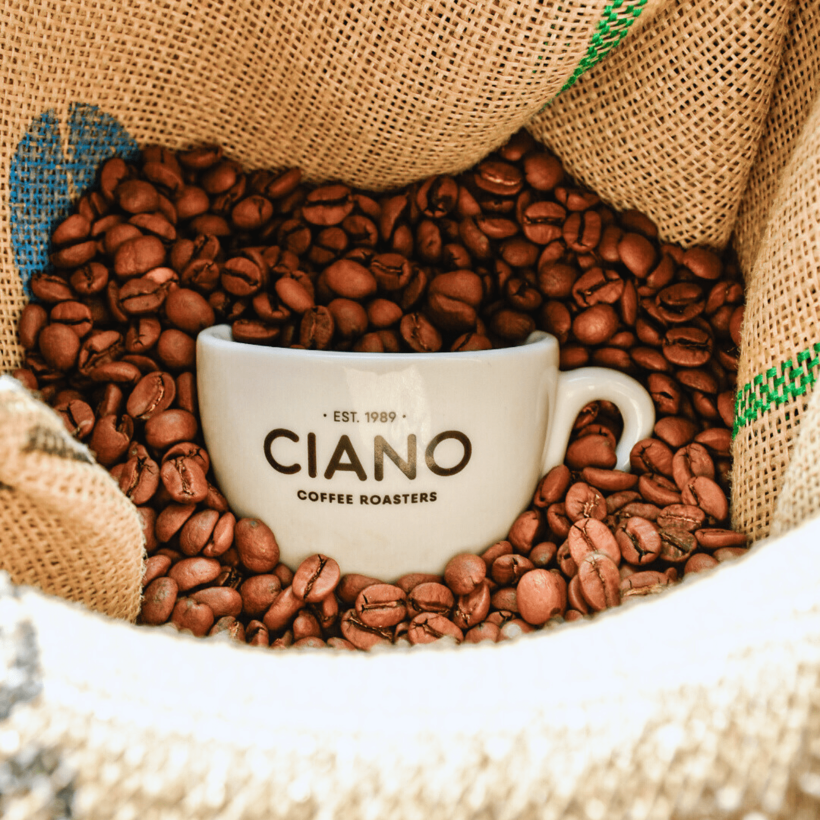 Taza de Ciano Coffee parcialmente enterrada en granos de café, símbolo de inmersión en el café de especialidad