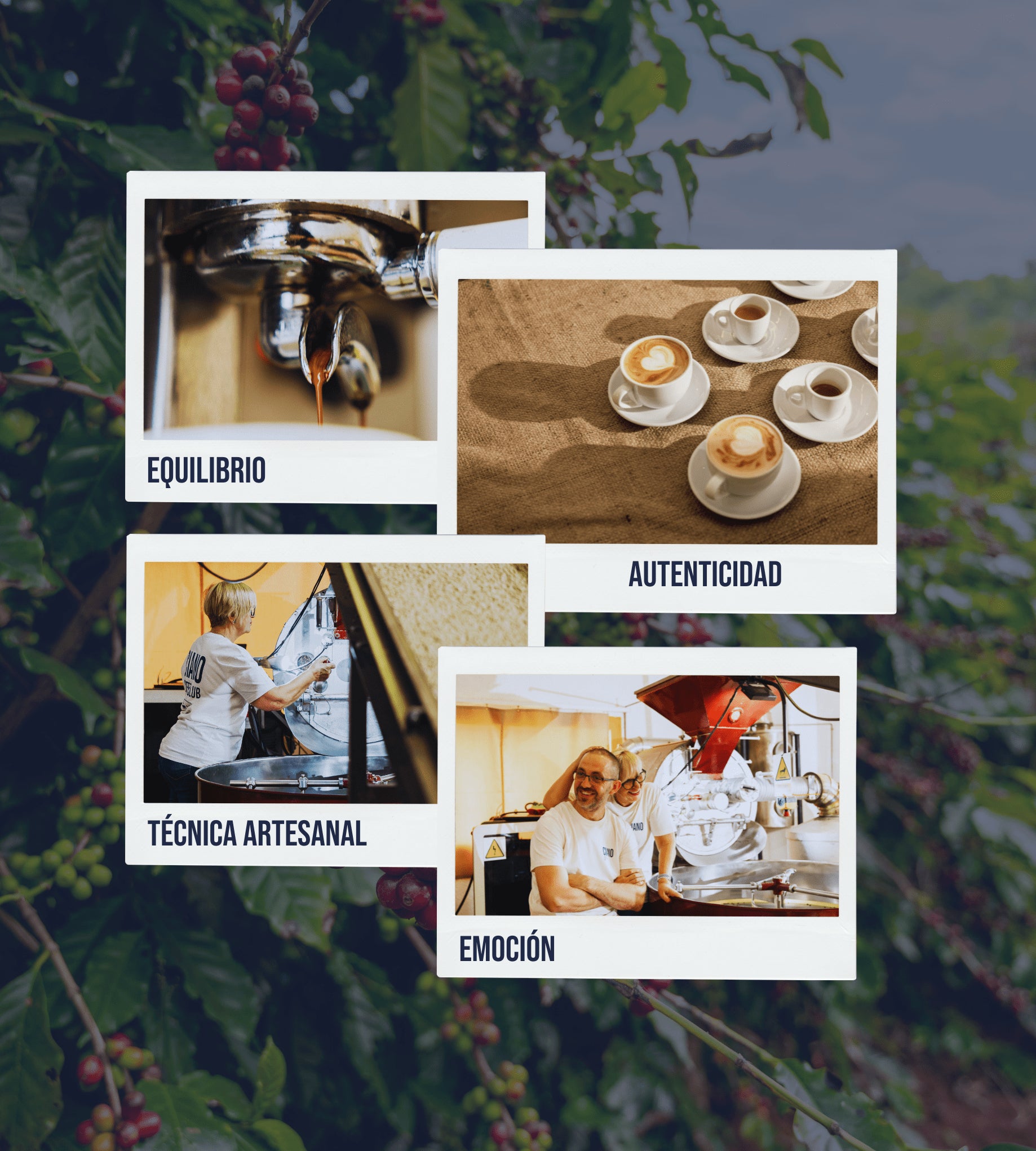 Imagen que representa los valores de Ciano Coffee en la creación de sus blends: calidad, equilibrio y compromiso con el origen